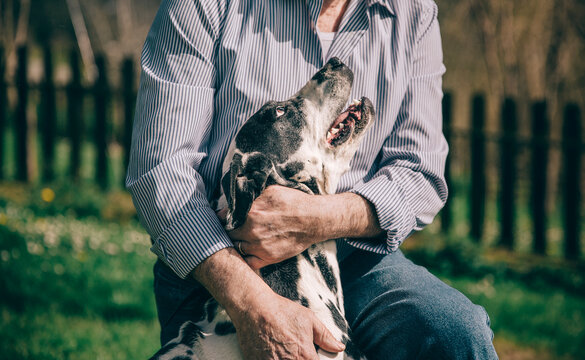 Senior man hugging his Dalmatian dog
