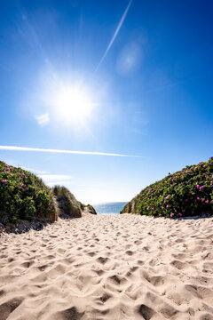 Sandy path through dunes to the North Sea beach in Sylt Germany