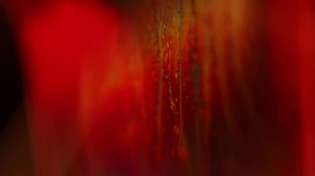Crimson fluid film boundary with suspended texture and warm backlight. An intense ruby and crimson backlight illuminates a subtle vertical fluid boundary.