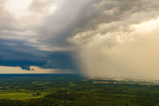 Aerial view of the dramatic storm front over Kaigu bog with heavy rain curtains and dark clouds above the green fields and forests of Livberze parish, Jelgava Municipality, Latvia.