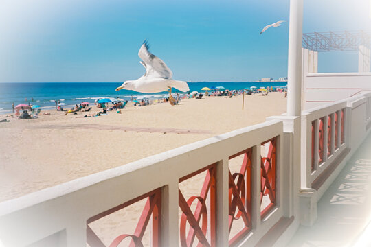 A seagull flies over a sunny beach during summer vacation