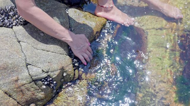 Woman touching water and collecting mussels from a rock