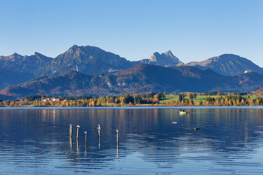 Germany, Bavaria, View of Hopfensee Lake