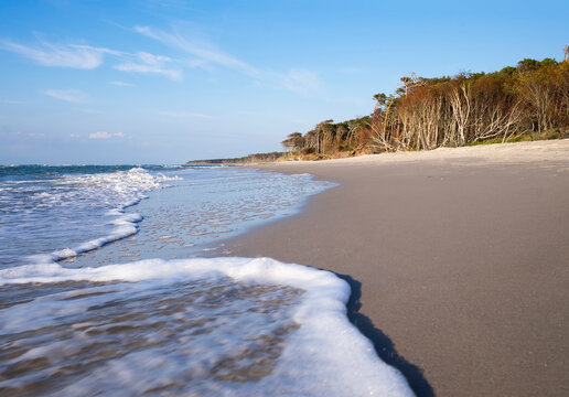 Germany, Mecklenburg-Western Pomerania, Baltic Sea beach in Born auf dem Darss