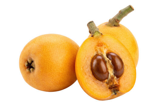 Fresh Ripe Loquat Fruits and One Half Showing Seeds