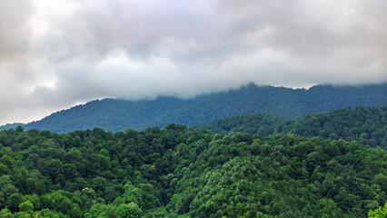 Mountainous forest landscape under cloudy sky © Levon