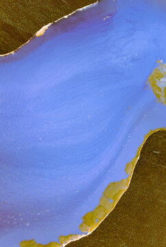 The picture is painted in alcohol ink. Creative abstract artwork made with translucent ink colors. Trendy wallpaper. Abstract painting, can be used as a background for wallpapers, posters, websites.