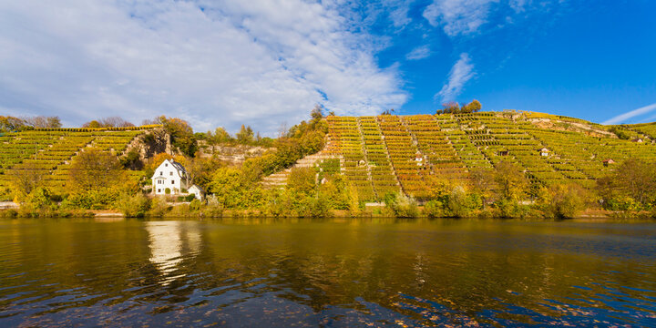 Germany, Baden-Wuerttemberg, Stuttgart, view to Neckar River and vineyards
