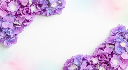 Fototapeta premium Delicate purple hydrangeas frame soft pastel watercolor background