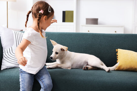 Little girl with her puppy on sofa at home