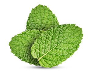 Green mint leaves on white background. Aromatic herb © New Africa