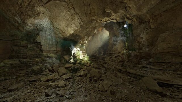 Ecological pocket mammoth cave system featuring plant colony thriving under filtered daylight, humid microhabitat among limestone crevices and delicate moss