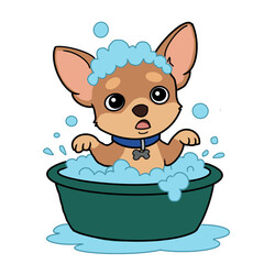 A Chihuahua Is Taking A Bath.
