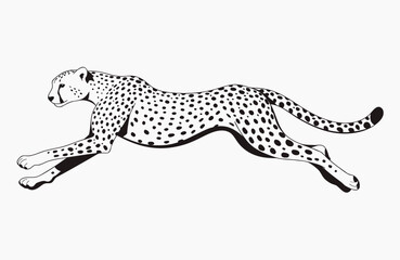 Naklejka premium Cheetah Leopard Vinyl Ready Vector Illustration with Spotted Wild Cat Design on Black and White Backgrounds Safari Wildlife Predator Animal Artwork