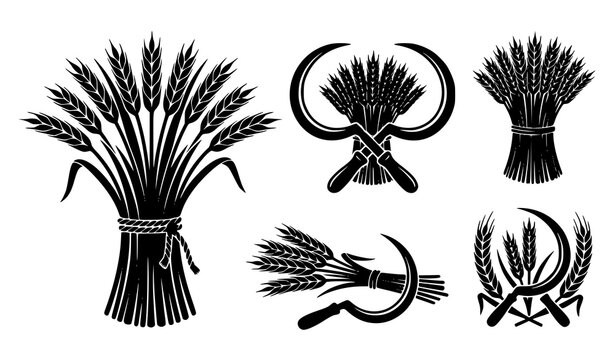 Wheat Sheaves and Crossed Sickles Silhouette Vector Collection