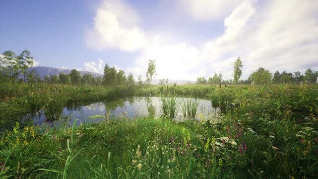 Lush pond with vibrant wildflowers, warm sunlight bathing scene, distant hills and soft sky, abundant flora and buzzing pollinators implied, idyllic pastoral