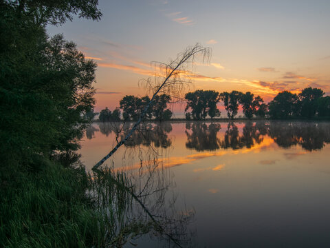 A serene, mist-covered lake beautifully reflects a vibrant orange sunset and dark trees, with a single slender birch leaning over the water