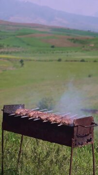 Traditional lula kebab shashlik grilling on skewers over a mangal with smoke, beautiful green mountain landscape in the background, vertical video.