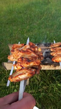 Man holding skewers of chicken wings grilling over hot coals on a mangal grill in a green mountain landscape, vertikal video.