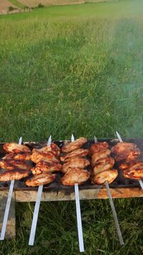 Man holding skewers of chicken wings grilling over hot coals on a mangal grill in a green mountain landscape, vertikal video.