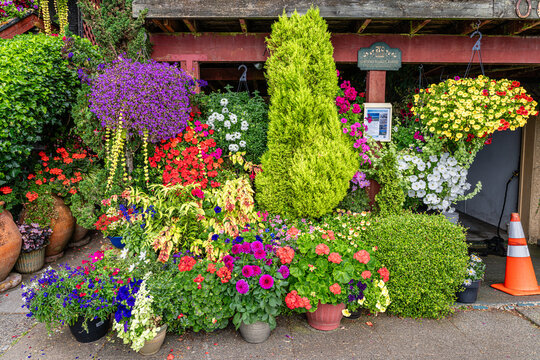 West Seattle Flower House 3