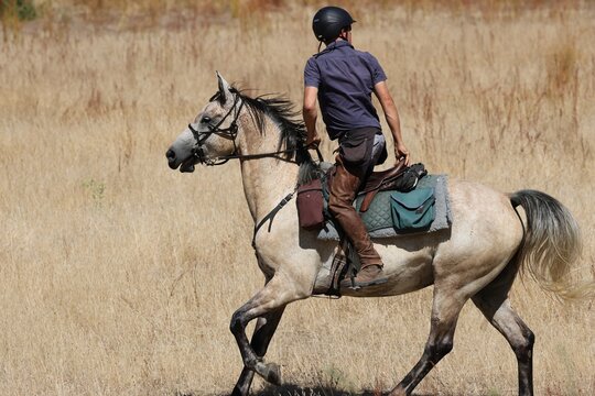 au trot