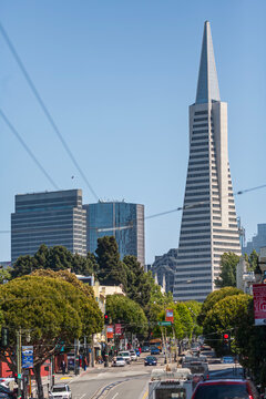 Vertical view of Columbus Avenue leading towards Transamerica Pyramid in San Francisco