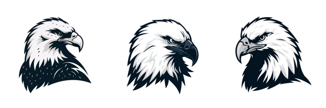 Set of Front-facing eagle head with symmetrical composition, striking amber eyes, detailed feather patterns and realistic textures on transparent png background. Ai generated