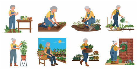 Fototapeta premium Set of senior woman gardening illustrations. Elderly lady planting, watering, and harvesting vegetables in the garden. Flat vector character set for horticulture and active retirement themes.