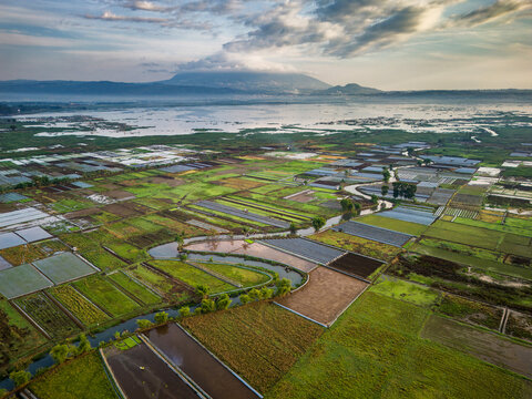 Aerial view of agricultural fields and irrigation canals near Rawa Pening lake with a mountain in the background under a cloudy sky in Banyubiru, Central Java, Indonesia.