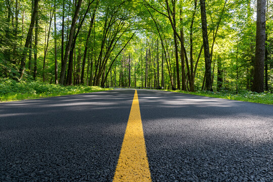 A paved road with a yellow centerline through a green forest canopy. Perfect for travel and nature themes.