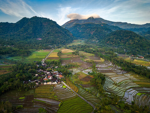 Aerial view of lush rice terraces and a small village nestled near the mountains along Jalan Kaliparat in Banyubiru, Central Java, Indonesia.