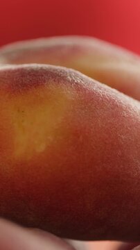 Fresh ripe apricots, peach and nectarine isolated on a white background. Colorful summer stone fruits with natural texture, healthy organic food, vegan nutrition, fresh harvest, juicy seasonal produce