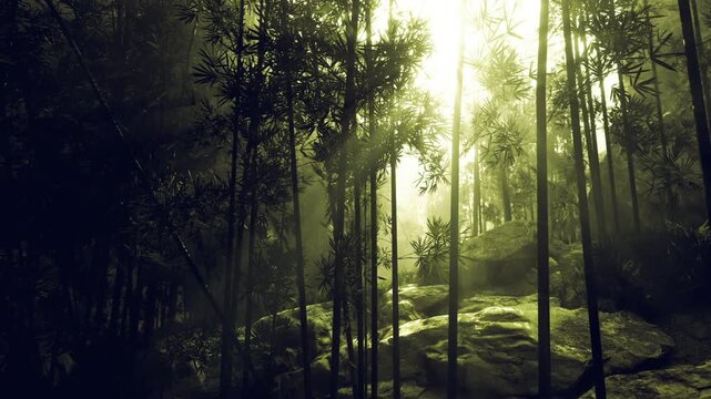 Sunlit forest slope inviting hiking exploration, ideal backdrop for eco travel and weekend adventure with mossy trail, bright canopy and energetic outdoor