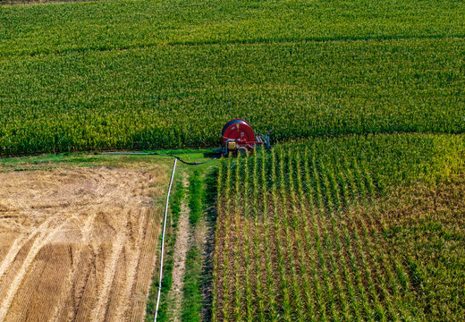 Aerial view of a red irrigation reel system in a field with green corn crops and harvested wheat, Hombourg, Grand Est, France.