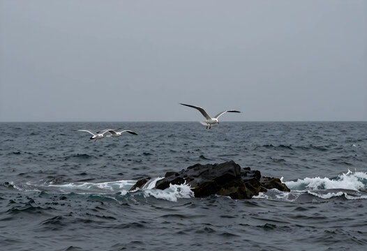 Three seagulls flying low over dark ocean waves and a rocky outcrop under a gray sky, coastal nature scene