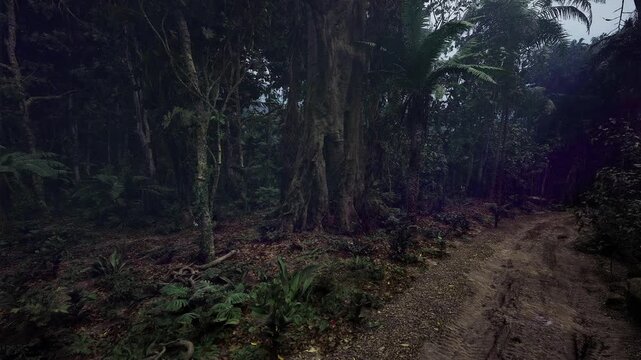 Muddy forest bend with damp leaf litter and slick track, overcast sky and heavy foliage conveying recent rain, raw outdoors energy for adventure scenes.