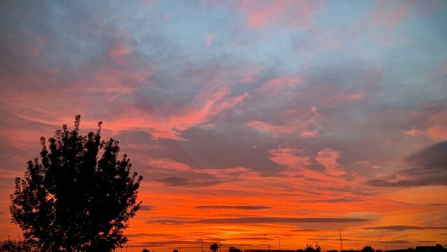 Silueta de &aacute;rbol solitario frente a un espectacular cielo encendido en tonos naranjas al atardecer