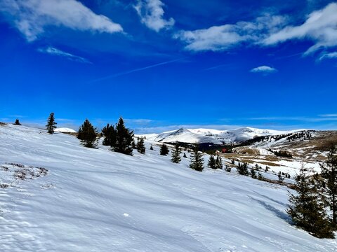 Hermoso paisaje alpino invernal con laderas cubiertas de nieve viva y pinos bajo cielo azul