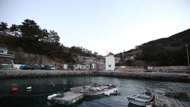 Korea Tongyeong Chudo island dried snailfish drying ocean coast seafood marine product 통영 추도 섬마을 물메기 미역어 꼼치 물곰 물텀벙 물잠뱅이 어업 통발 고기잡이 생선손질 말리기 건어물 덕장 해풍 건조 바닷가 어촌 수산물 반건조 생선 수산업 식재료