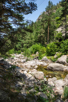 Rila Mountain near Beli Iskar River, Bulgaria