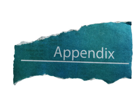 Appendix word written on a piece of dark blue torn paper with a white line