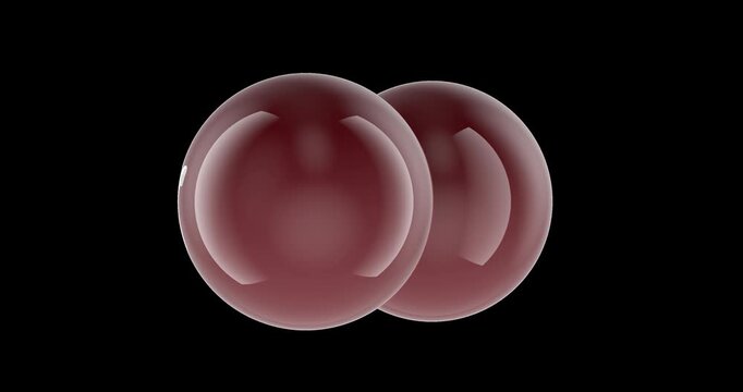 Bromine molecule Br2 molecular model rotation animation seamlessly loopable. 3D rendering isolated on transparent background