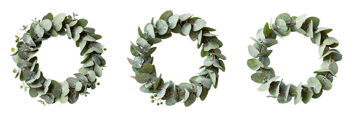 Fototapeta premium Three eucalyptus wreaths create a natural botanical design element against black
