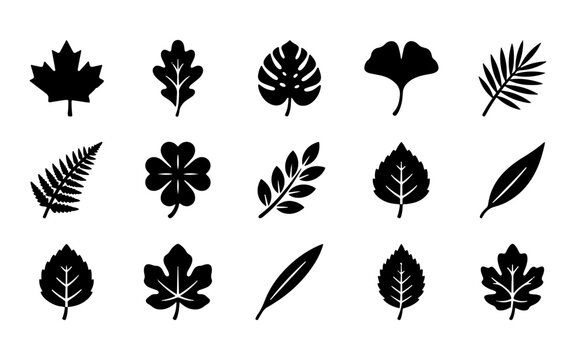 A collection of various black silhouettes representing each unique tree leaf shape for botanical design and nature themed projects