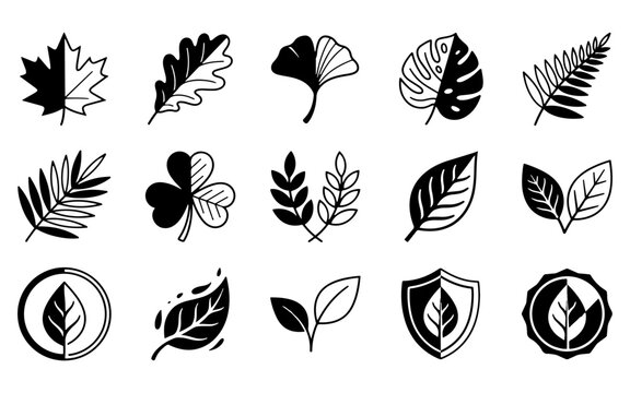 A collection of various black and white tree leaf icons featuring diverse botanical shapes for nature design projects