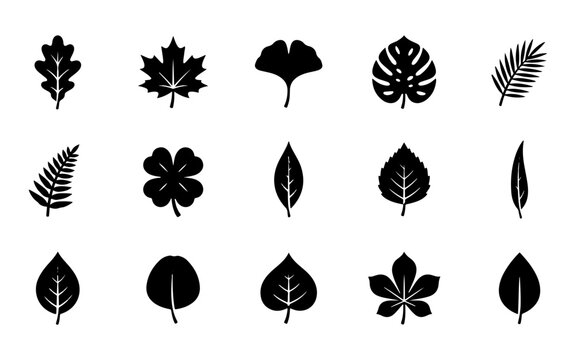 A collection of various black silhouettes representing each unique tree leaf shape for botanical design and natural graphic projects