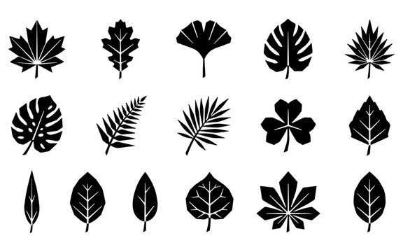 A collection of various black silhouettes representing different types of tree leaf shapes isolated on a white background