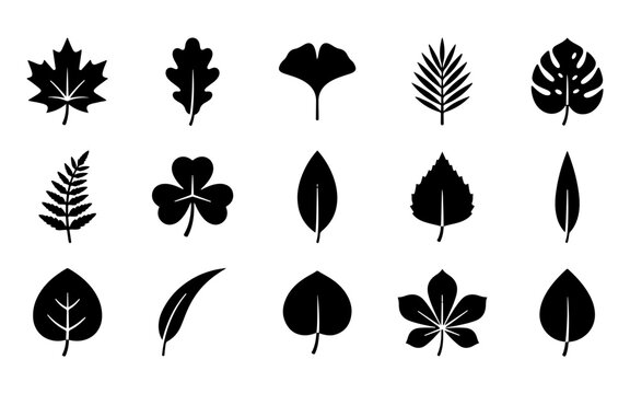 Set of various black tree leaf silhouettes isolated on a white background for nature design and botanical graphic projects