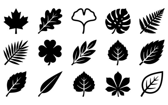 Set of various black silhouettes of a tree leaf collection isolated on a white background for graphic design projects
